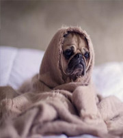 潮州有这样的手机号码，留不住钱，你中枪了吗？