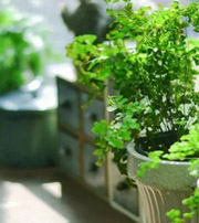 潮州专属于你的开运指南，助你鸿运当头福满身！