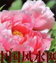 潮州预示你财运上升，姻缘可成的梦境，快来看看吧！