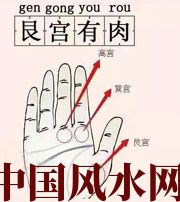 潮州这个地方肉越多，财运就越好