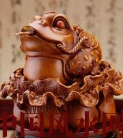 潮州解读金蟾最合适的位置，这样摆放更招财！