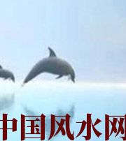 潮州做梦梦到这些，是要富裕的征兆！